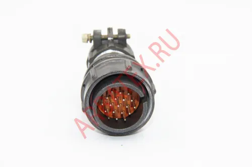 2РМТ24КПН19Ш1В1В Разъемы 2РМ, 2РМТ, 2РМГ, 2РМДТ, ОНЦ-РГ фото