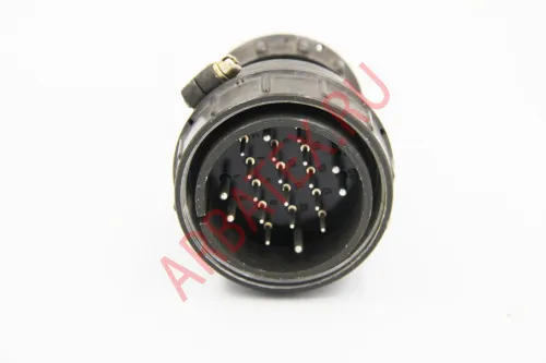 ШР48П20ЭГ1 вилка кабельная Разъемы разное фото